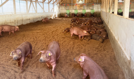 自然に近い環境