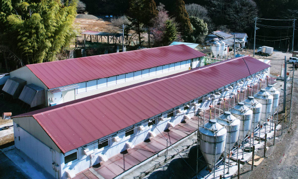 しんちゃん農場(第2農場)